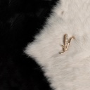[ACCS-00032] بروش - دبوس